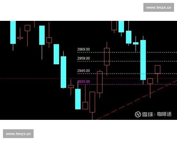 基于比赛走势分析的策略与预测方法探讨